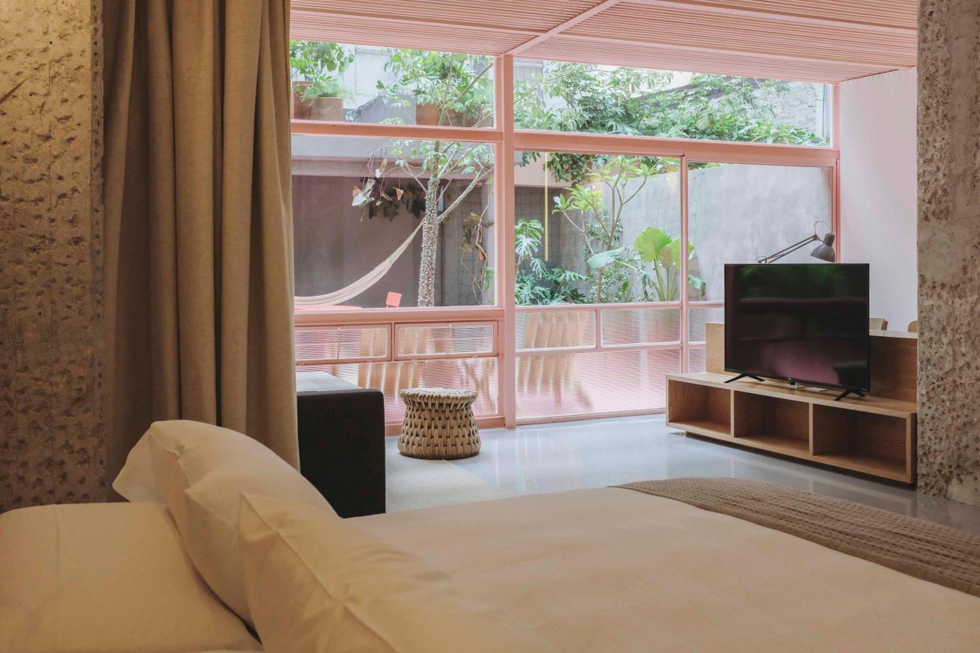 Xolo Stays Mexico Chambre photo